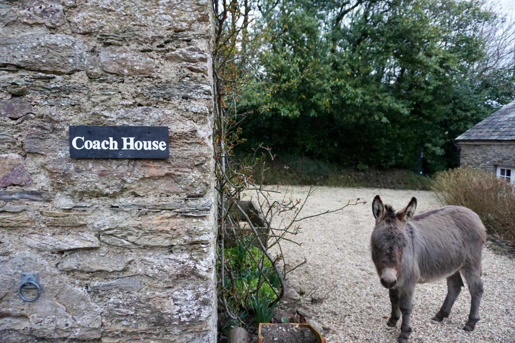 Beachborough Country House Barnstaple Exterior foto